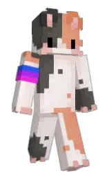 Minecraft skin — Classic model