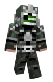 Skin preview