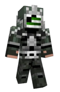 Front of DOIDINHALELECA's skin