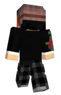 Front of queizen's skin