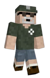 Skin preview
