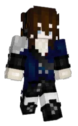 cod gray and crowshead Minecraft skin — Classic model