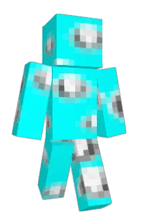 Front of polyght's skin