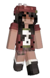 Skin preview