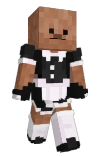 Front of Minecraft skin