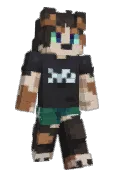 vampic