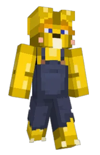 Front of ZLCu's skin