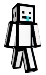 black and white Minecraft skin — Classic model