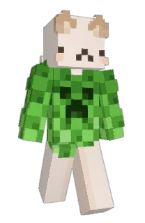 Front of Estebantron022's skin