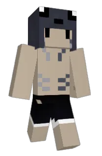 Front of NQRWAYx's skin