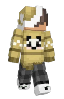 Front of SalteStyle's skin