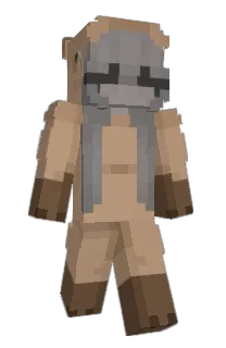 Front of Minecraft skin