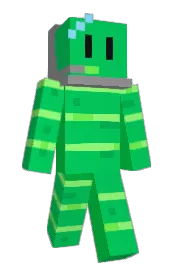 Skin preview