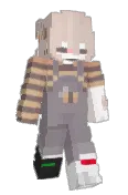 finitt