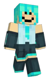 Skin preview