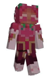 Front of Invusink's skin