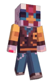 Skin preview