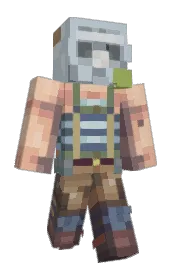 Skin preview