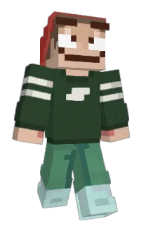 Front of iamnotnhat's skin
