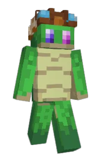 Front of Tortls's skin