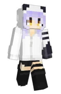 Front of RixBux's skin