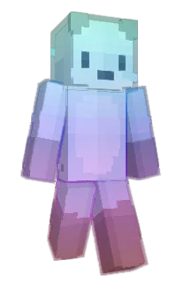 Front of pravilisjak's skin