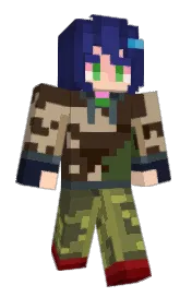 Skin preview