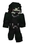 Faisvl