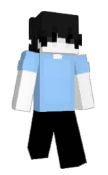 Slim Minecraft skin