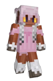 Front of Llamey's skin