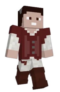 Front of Meeedic's skin