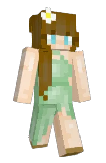 Front of Minecraft skin