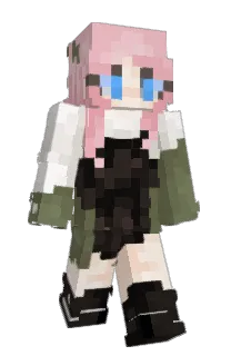 Front of Rosemallowss's skin