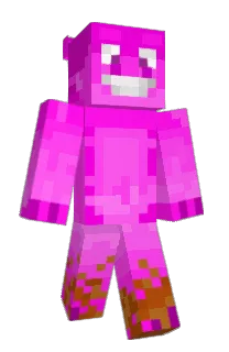 Front of micropig's skin