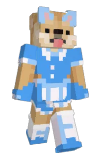 Front of Sir_Capachino's skin