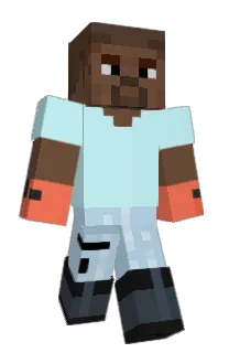 Front of InParis's skin