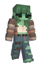 Skin preview