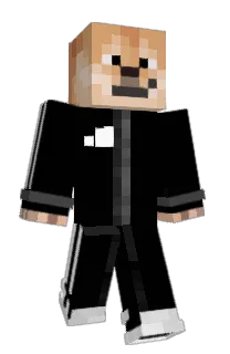 Front of vntss's skin