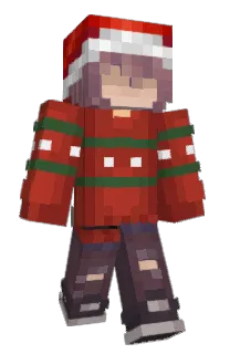 Front of TheGameDolphin's skin