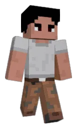 Minecraft skin — Classic model