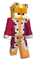 Minecraft skin — Classic model