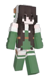 Skin preview