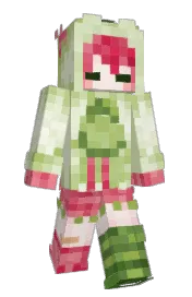 Skin preview