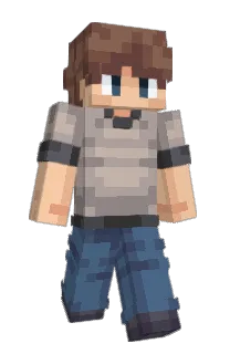 Front of fcto's skin
