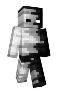 Successee's Minecraft skin