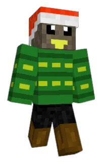 Front of Chirp_1's skin