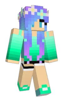 Front of Dl1b's skin