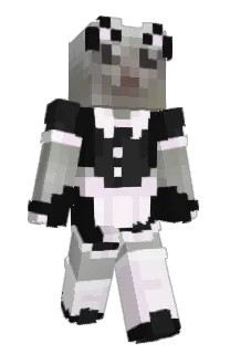 Front of wokions's skin