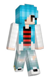 Skin preview