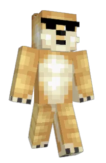 Front of dunk22's skin
